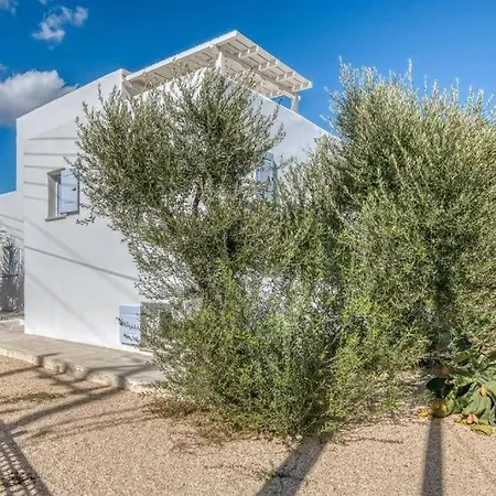 Zeos - Cycladic House Close To The Villa Ambelas